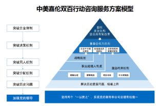 雙百行動信息咨詢服務產品手冊